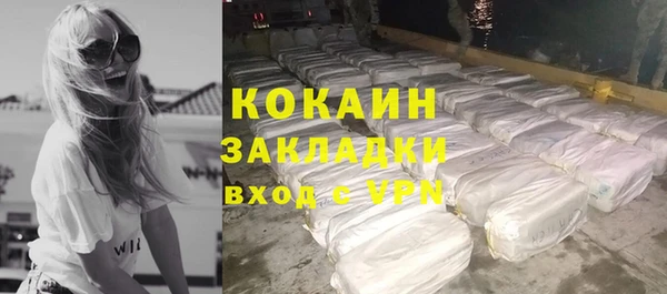 гидра Михайловск