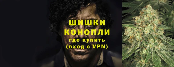 гидра Михайловск