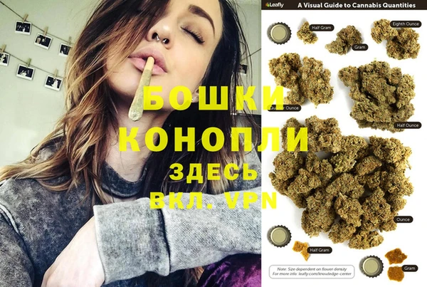 гидра Михайловск