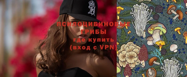 гидра Михайловск