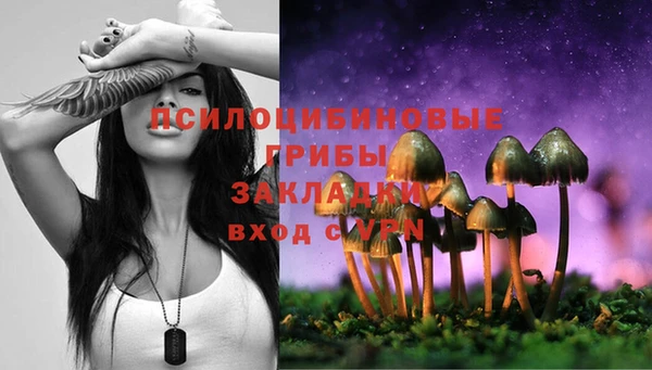 гидра Михайловск