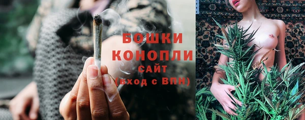 гидра Михайловск