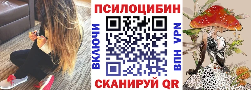 как найти наркотики  Стерлитамак  Псилоцибиновые грибы мицелий 
