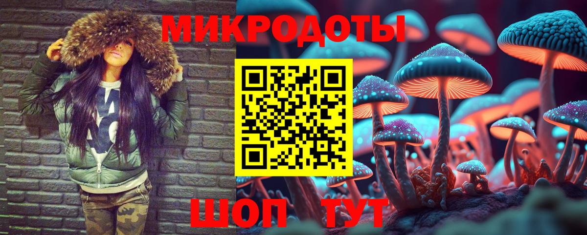 Псилоцибиновые грибы Psilocybe Стерлитамак