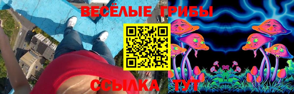 Стерлитамак  Галлюциногенные грибы MAGIC MUSHROOMS  Вход с VPN 