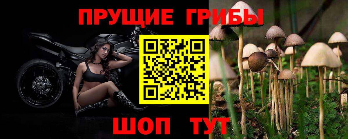 Галлюциногенные грибы прущие грибы  Стерлитамак  наркотики  Галлюциногенные грибы прущие грибы 