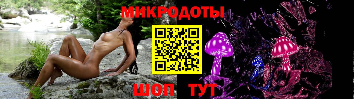 Галлюциногенные грибы Psilocybe Стерлитамак
